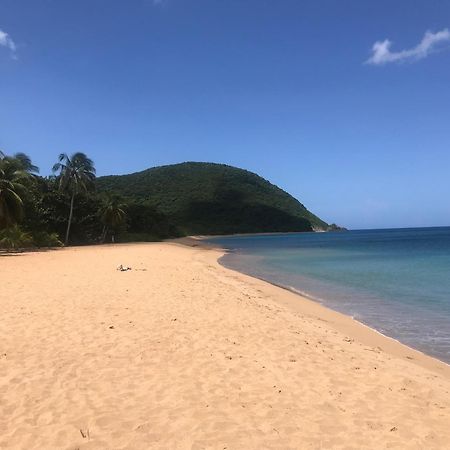 Villa Coco Caraibes Deshaies Exterior photo