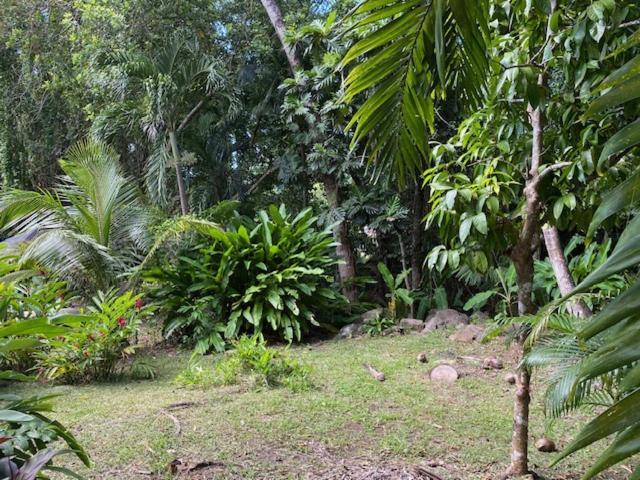 Villa Coco Caraibes Deshaies Exterior photo