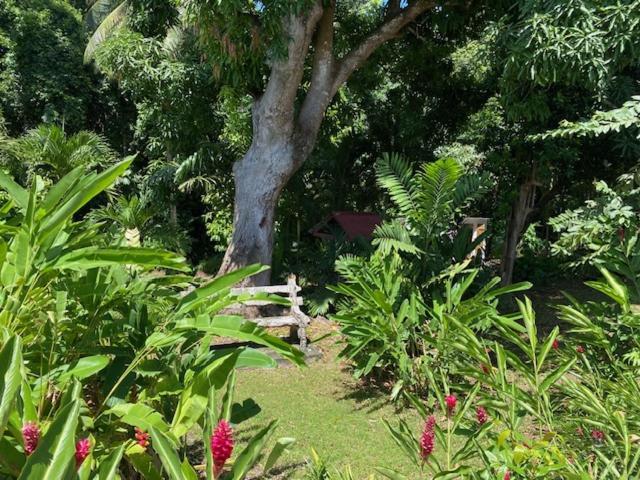 Villa Coco Caraibes Deshaies Exterior photo