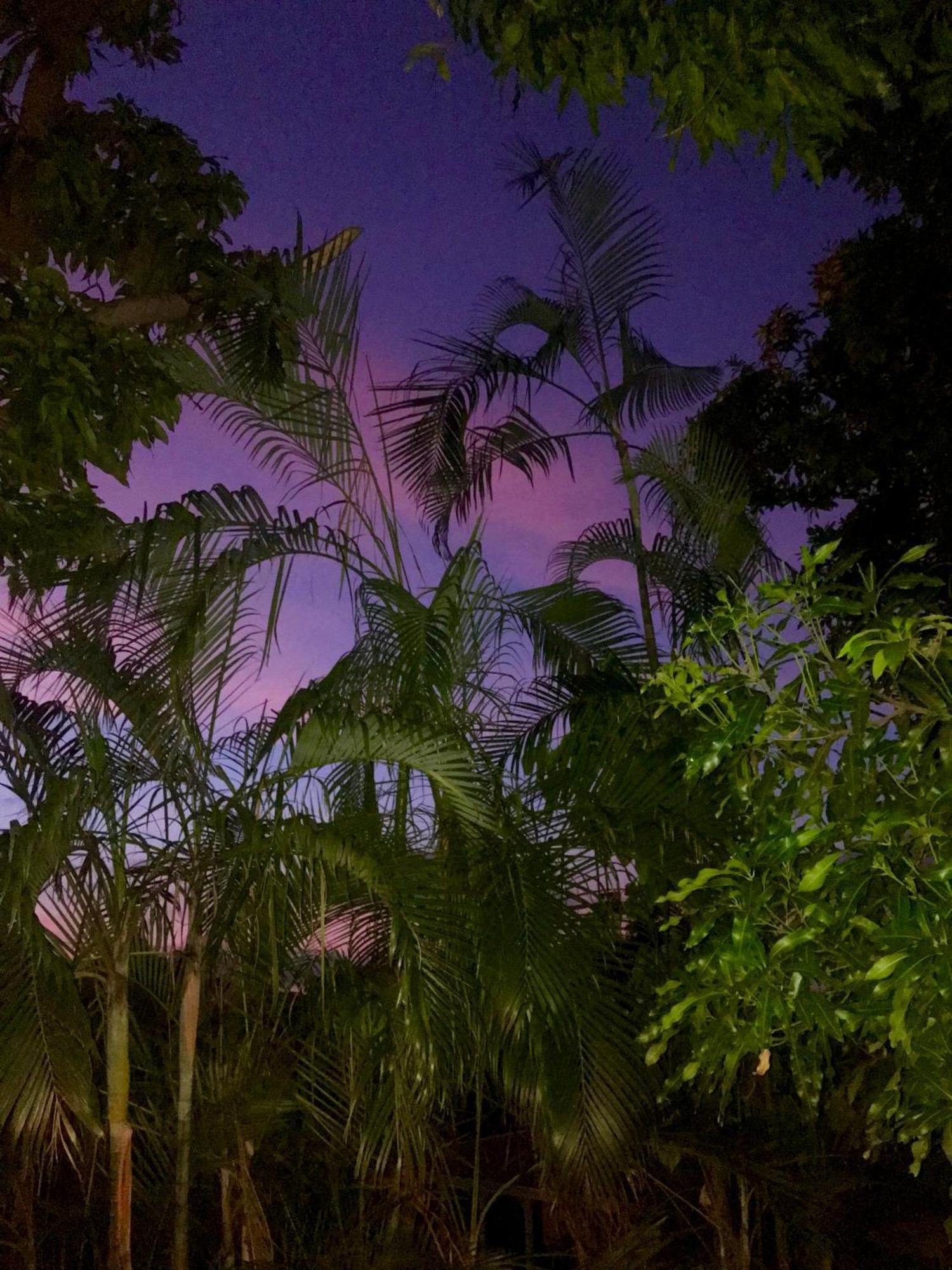 Villa Coco Caraibes Deshaies Exterior photo