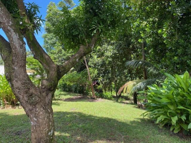 Villa Coco Caraibes Deshaies Exterior photo