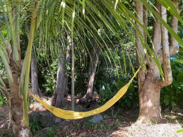 Villa Coco Caraibes Deshaies Exterior photo