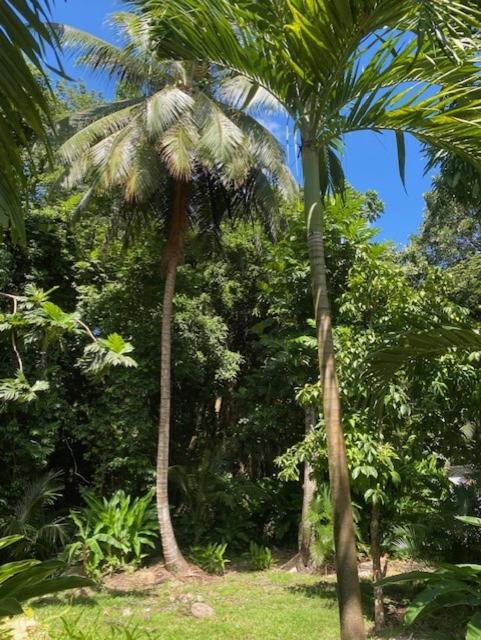 Villa Coco Caraibes Deshaies Exterior photo
